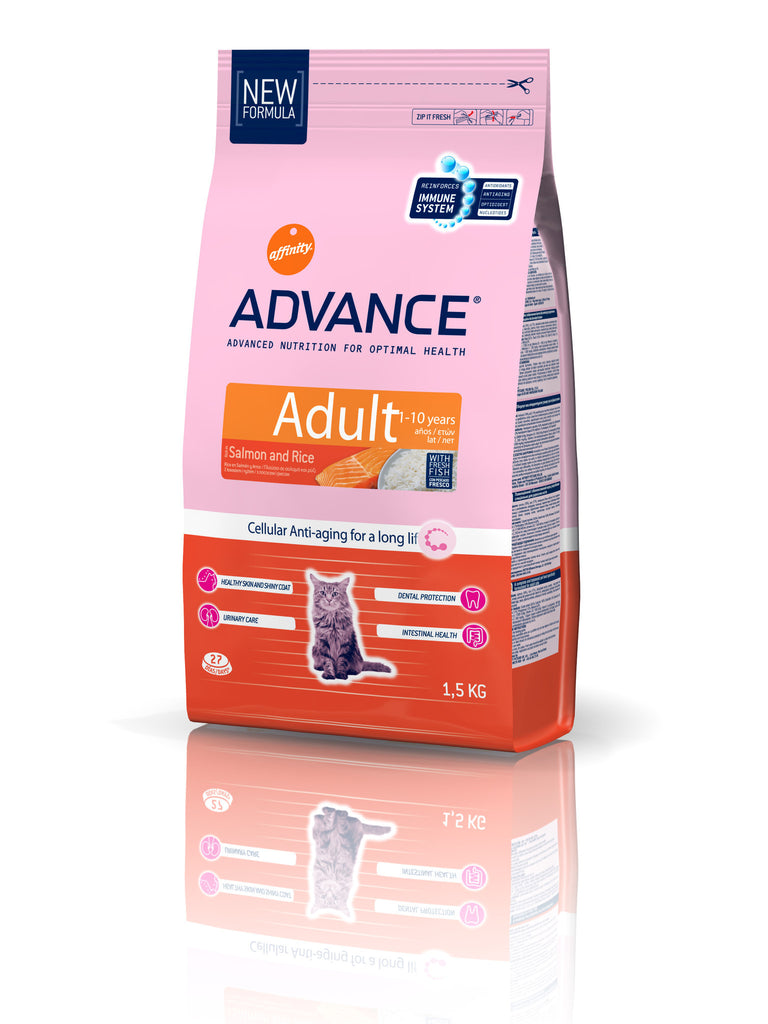 Advance Cat Adult Salmon & Rice