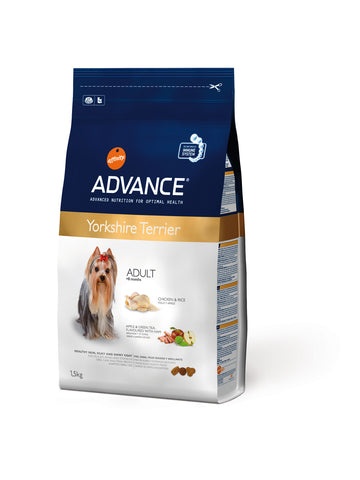 Advance Yorkshire Terrier