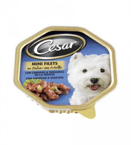 Cesar Tarrina Cordero Mediterraneo