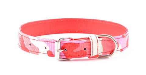 Collar perro estampado varios tonos