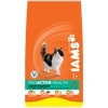 Iams Cat Hairball Pollo