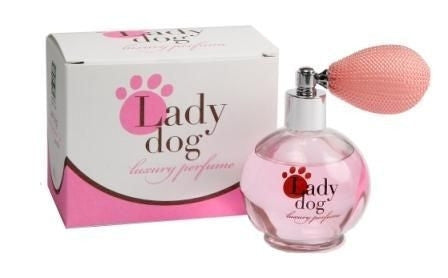 Perfume Lady Dog