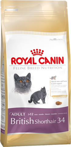 Royal Canin Feline British Shorthair 34