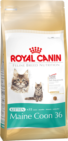 Royal Canin Feline Kitten Maine Coon 36