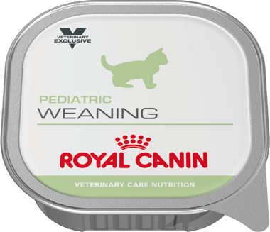 Royal Canin Feline Pediatric Weaning húmedo