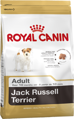 Royal Canin Jack Russell